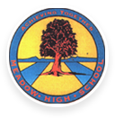 Meadow High School logo